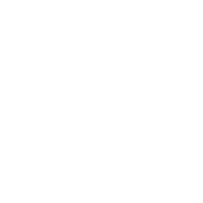 Execution Services - Campaigns, Digital Marketing, Optimization