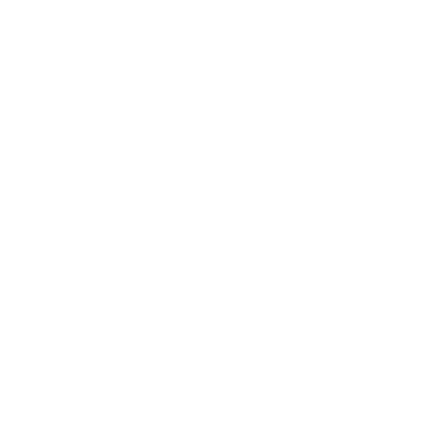Consort The Consort Compass brand identity design process workflow - Branding and web design company compass logo guiding businesses to growth