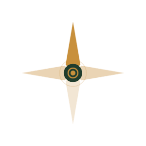 Consort Creative Compass Icon